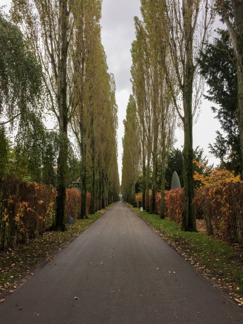 Han Tavsens Park