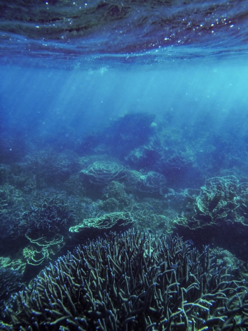 Coral Bay