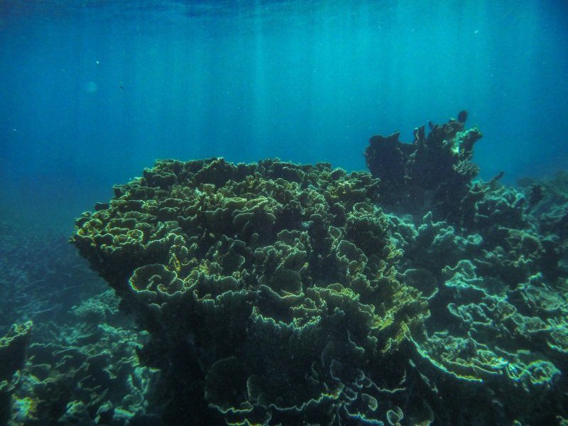Coral Bay
