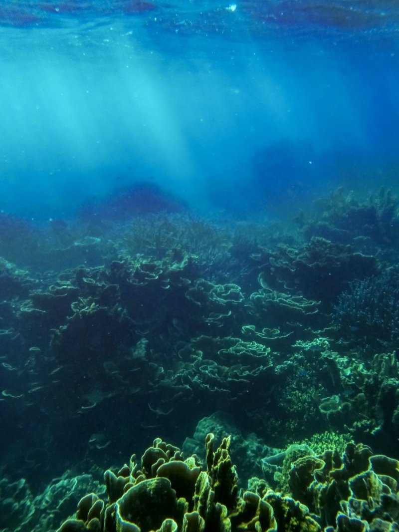 Coral Bay