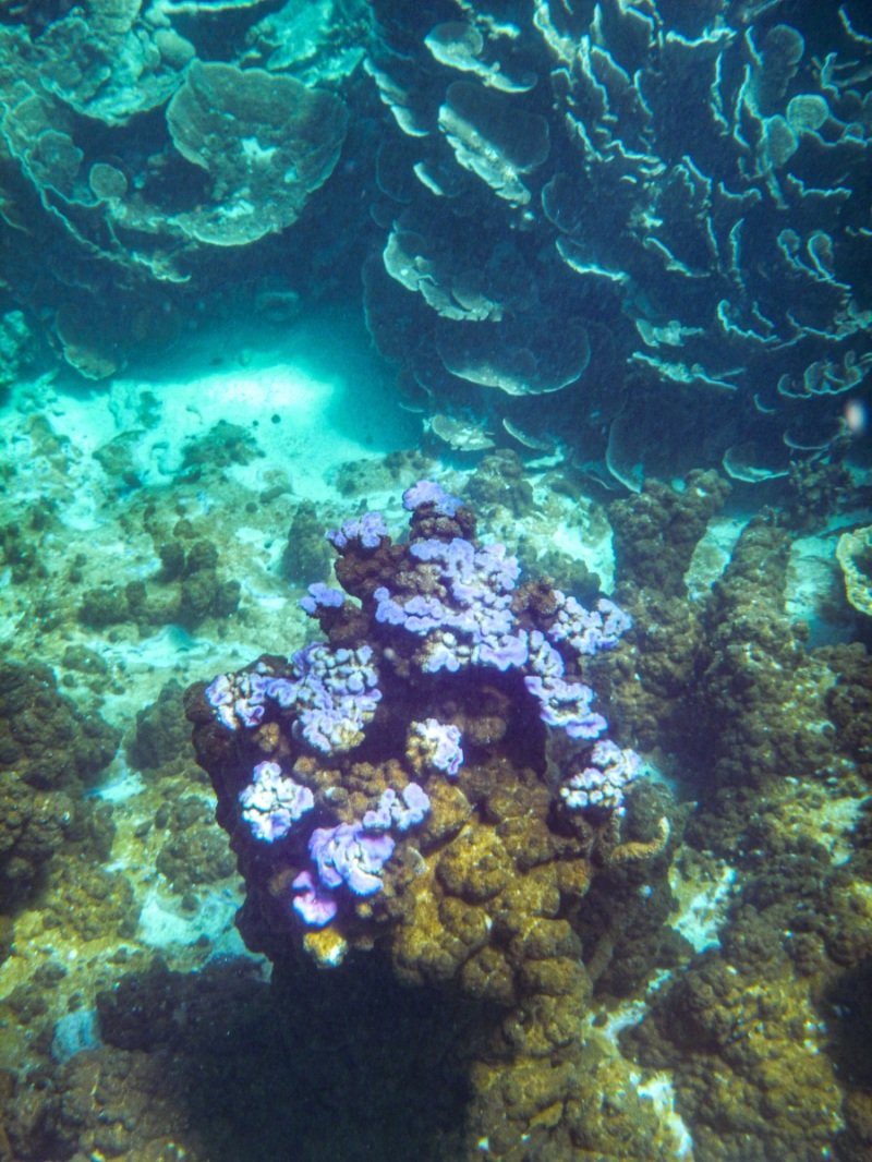 Coral Bay