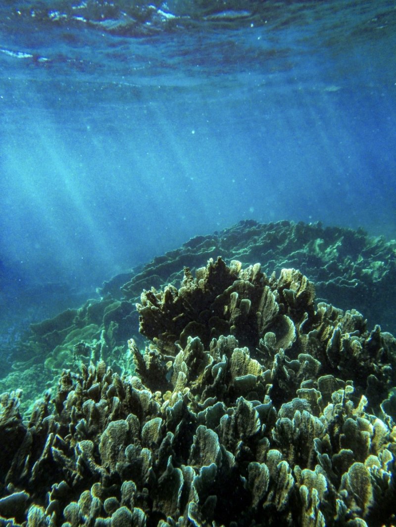 Coral Bay