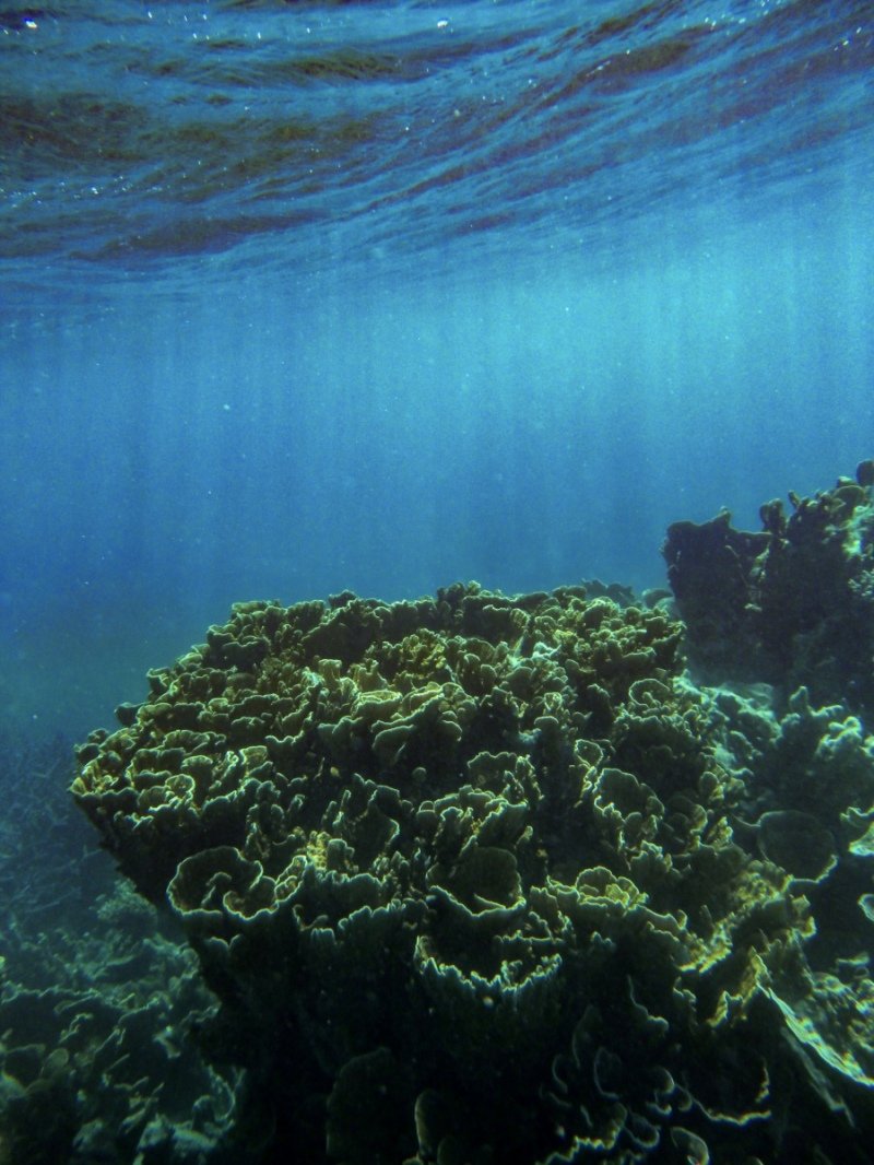 Coral Bay