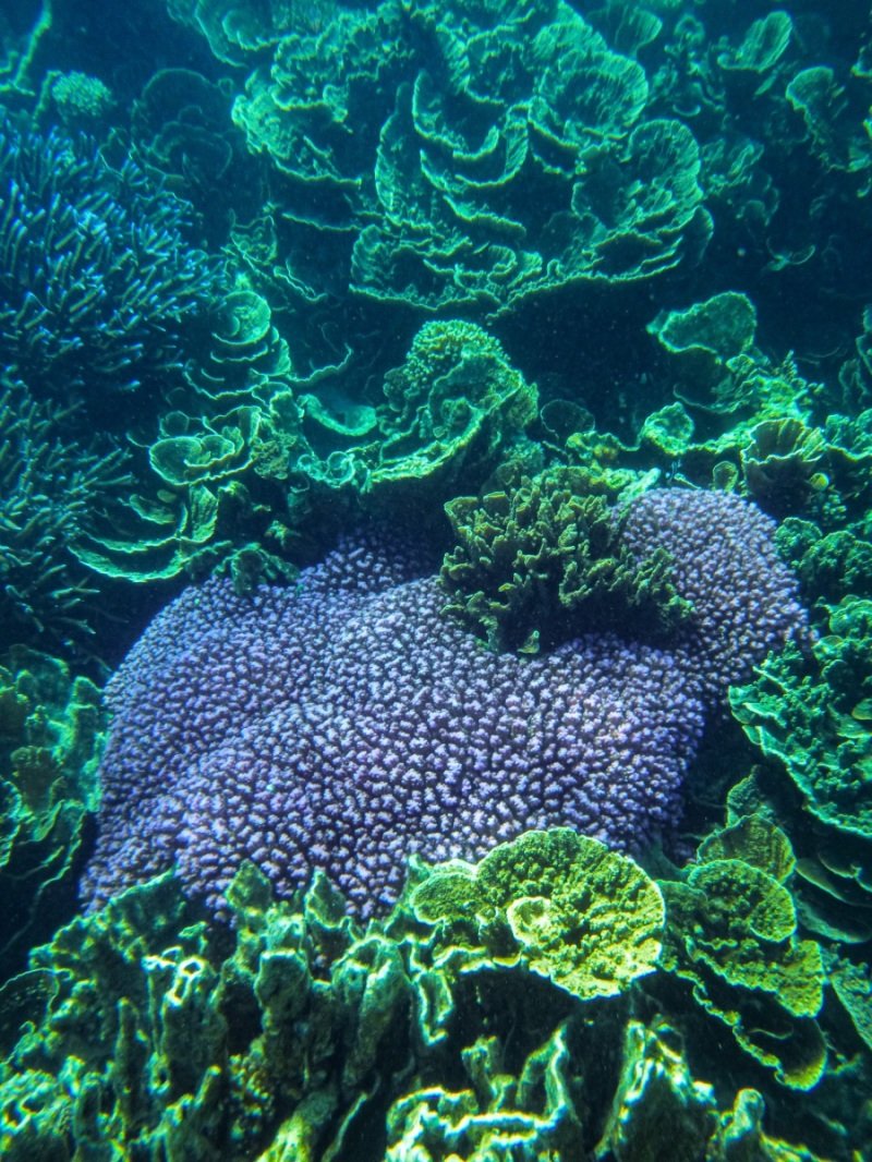 Coral Bay