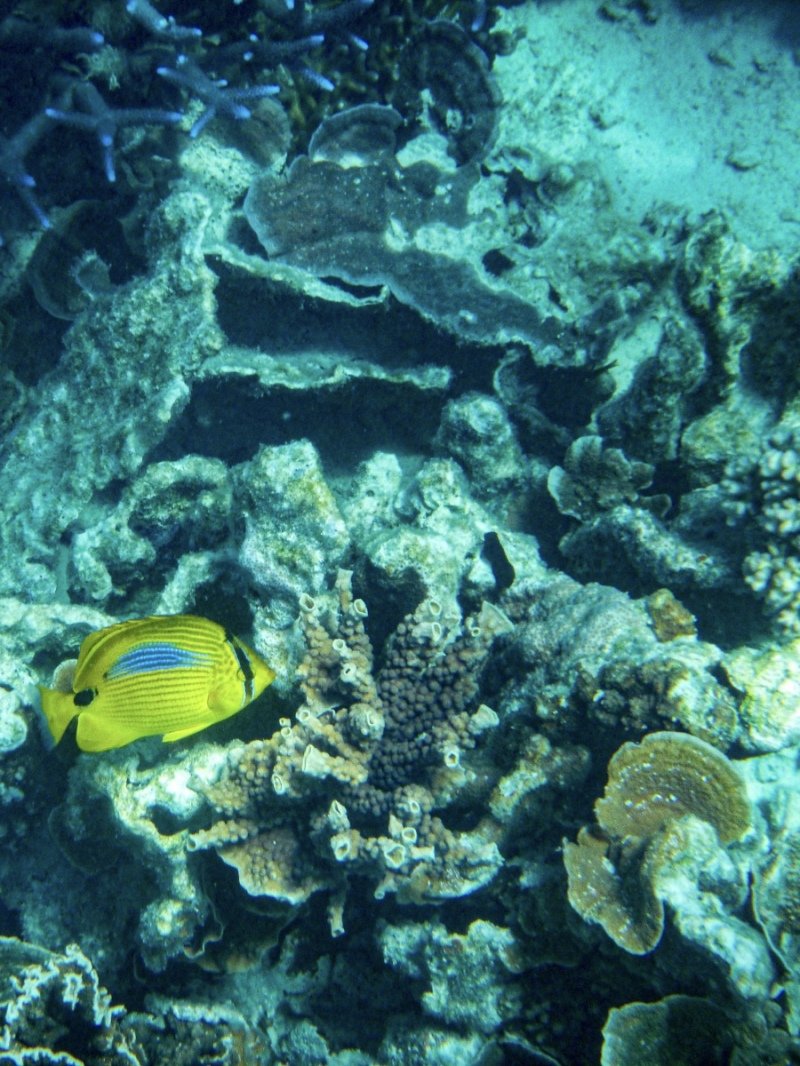 Coral Bay