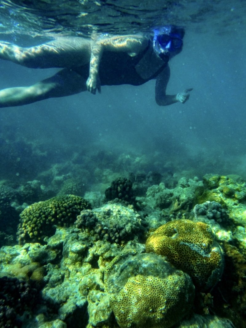 Coral Bay