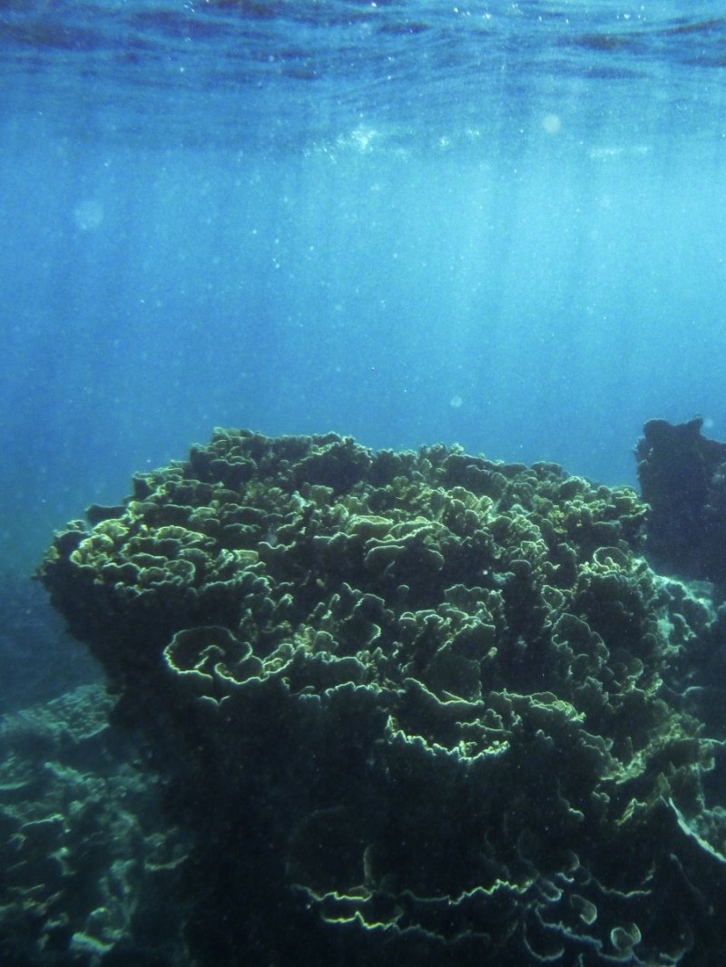 Coral Bay