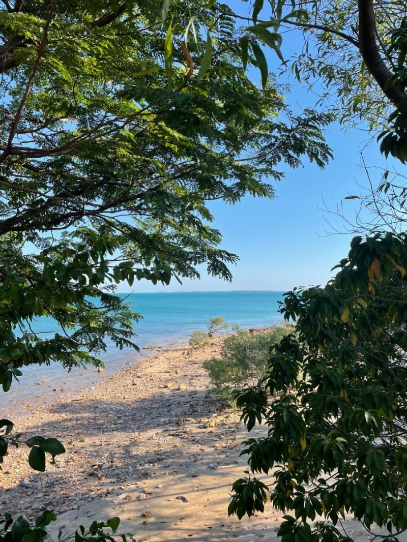 Darwin views