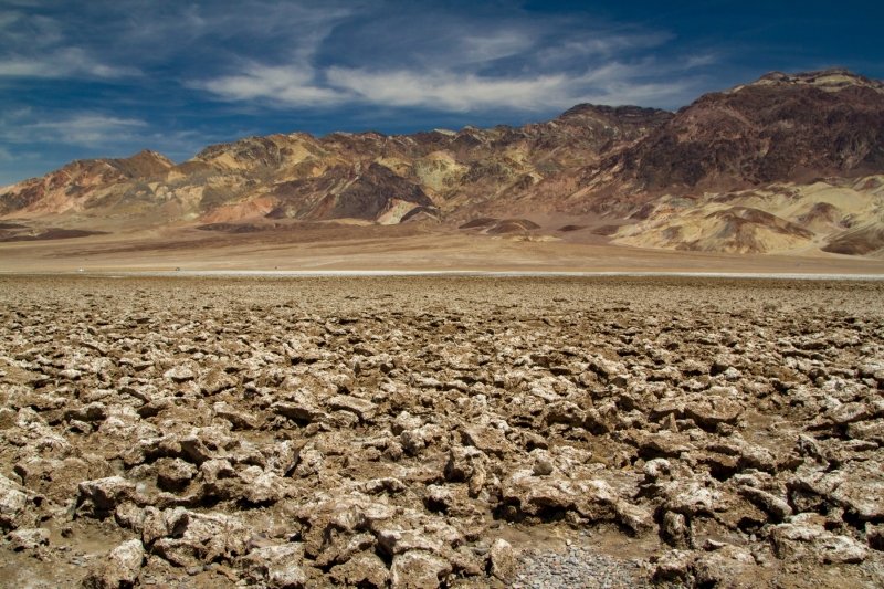 20180423-20180422-_MG_5196