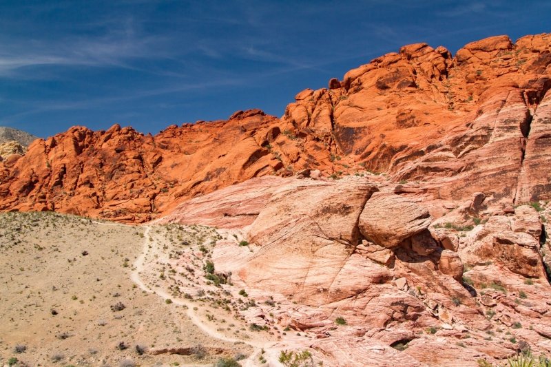 20180424-20180423-_MG_5723