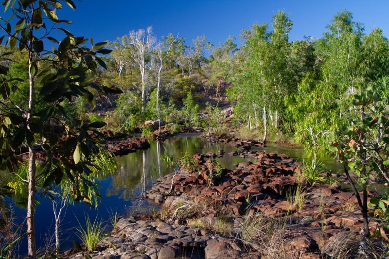 Long Pool, Edith Falls (dawn)
