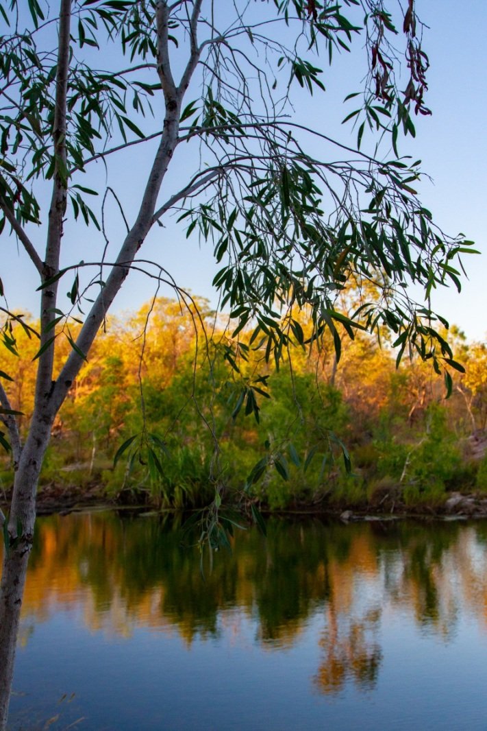Long Pool, Edith Falls (dawn)
