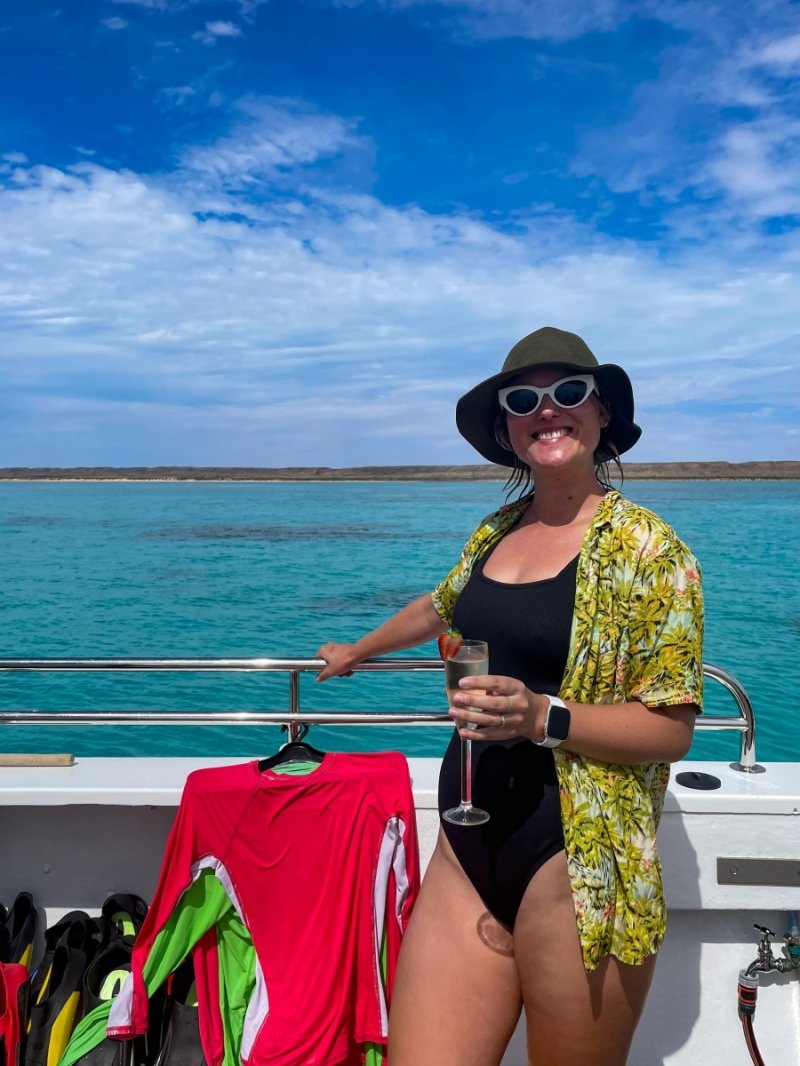 Whale shark tour