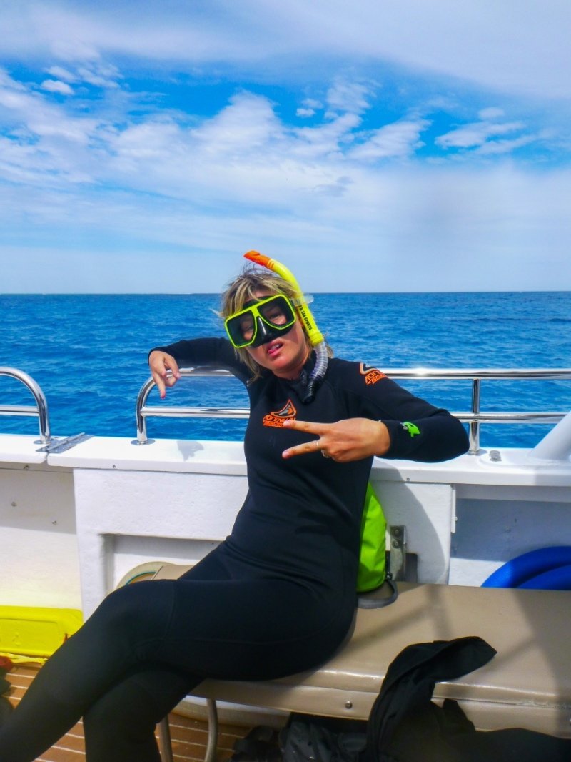 Whale shark tour