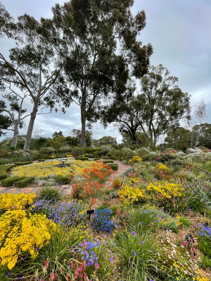 Kings Park