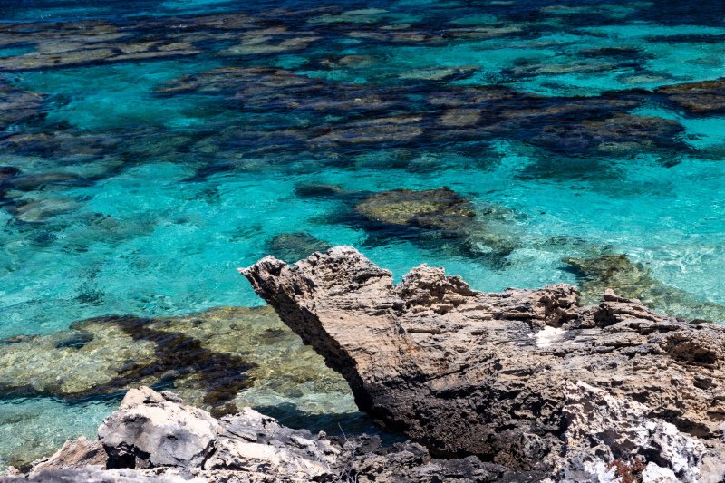 Rottnest Island