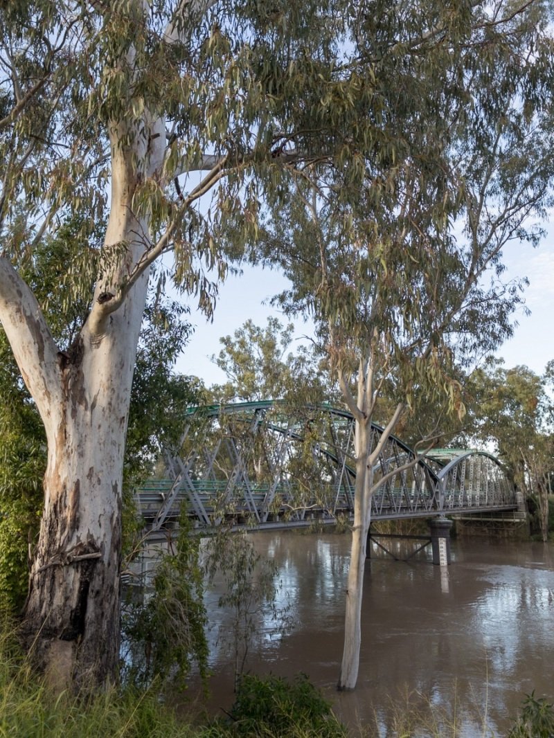 Bridge over the Macintyre River (open)