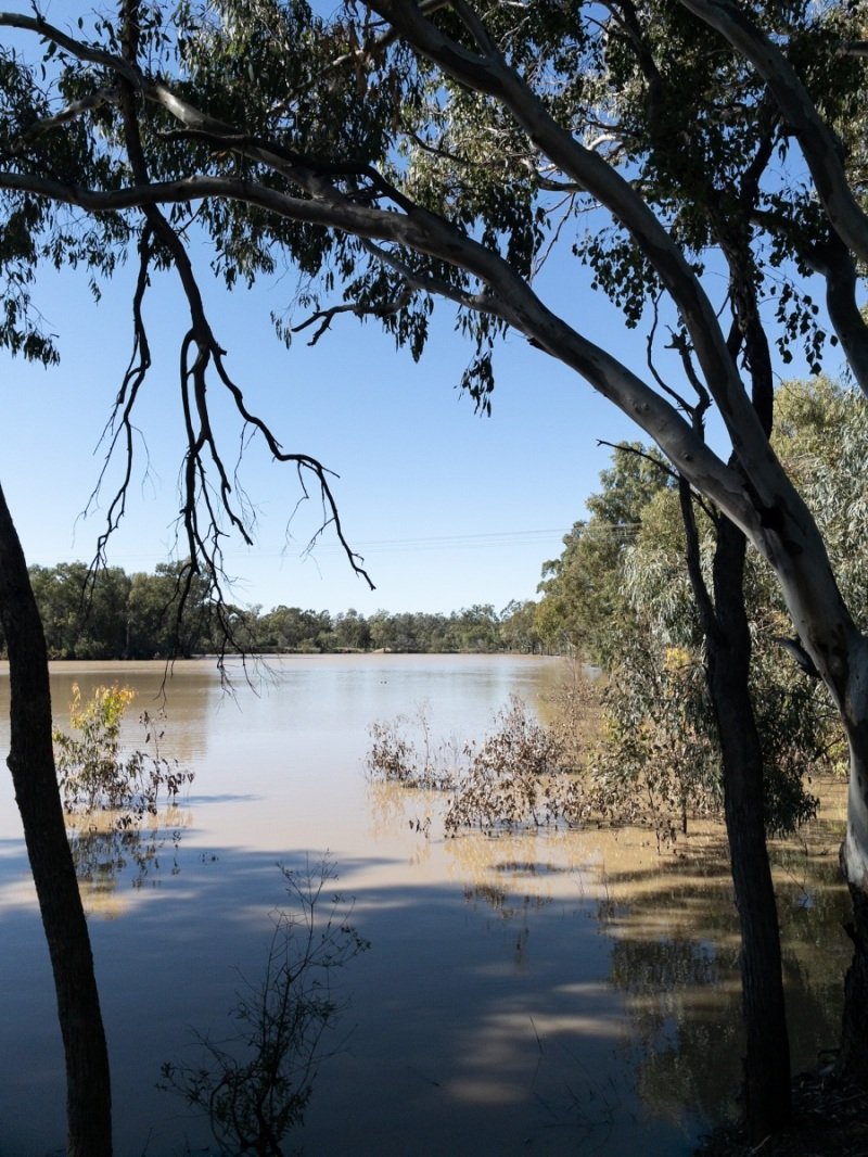 The Macintyre River