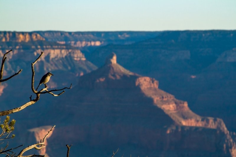 Sunrise at the Grand Canyon