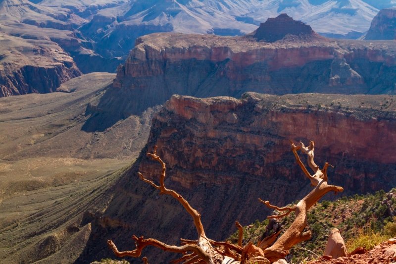 View from the  Cedar Ridge spur
