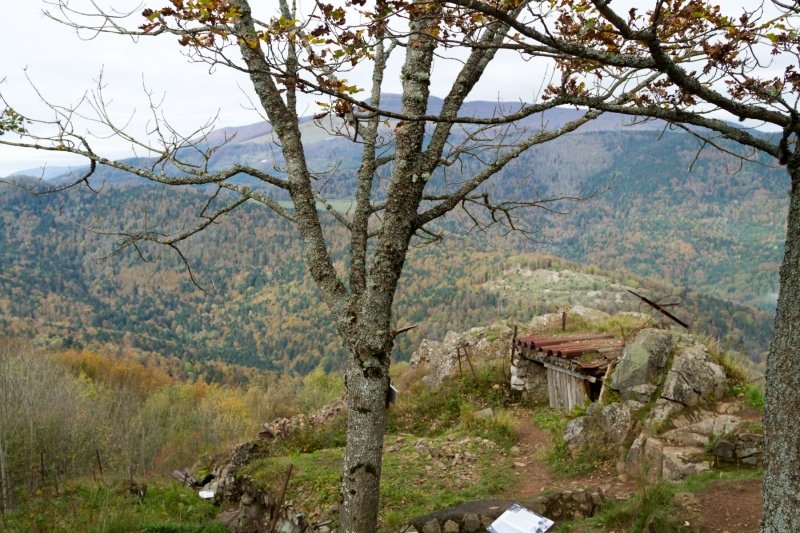 Gedenkstätte Hartmannswillerkopf: looking at old photos, this whole place was ruined by the fighting and it has taken much of the last century to recover.