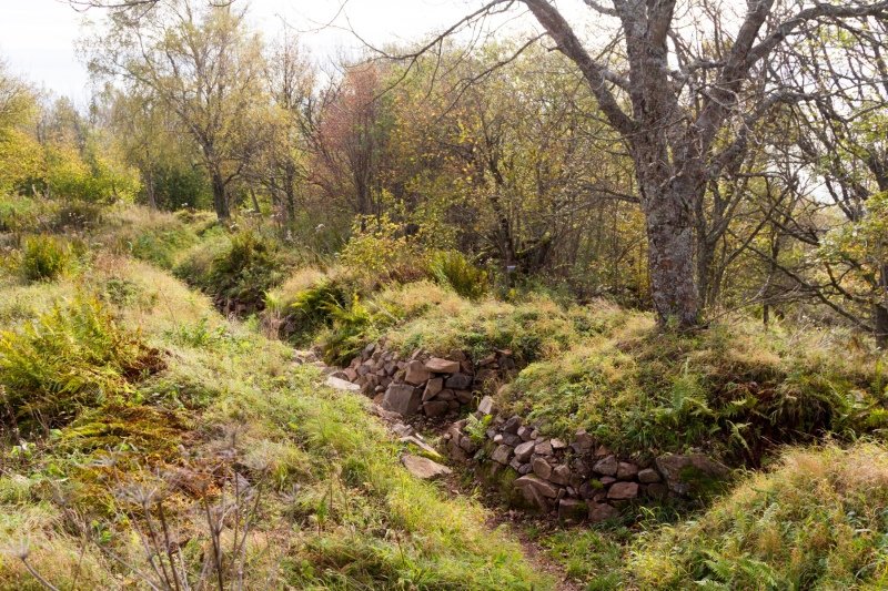 Gedenkstätte Hartmannswillerkopf: a French trench.