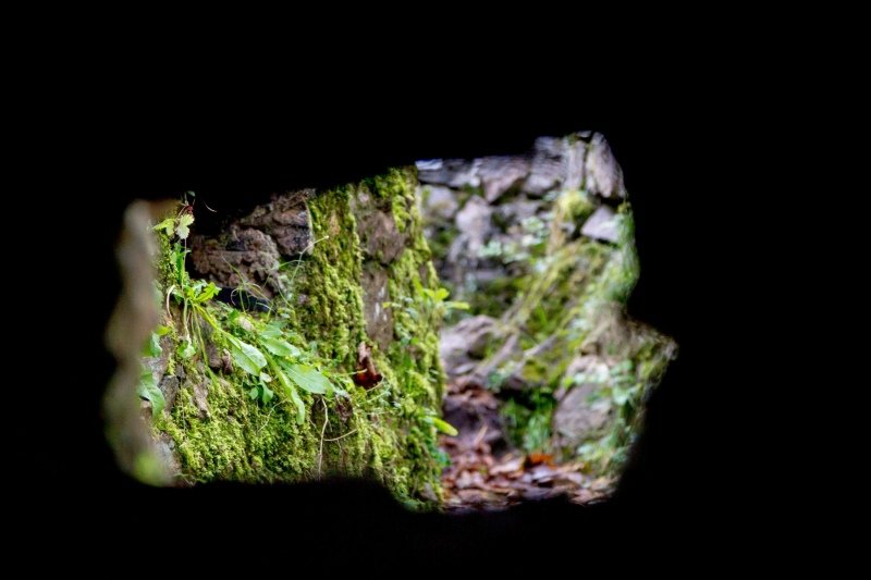 Gedenkstätte Hartmannswillerkopf: the German trenches were designed with numerous right angles, this was to provide protection to soldiers by preventing sound and force from explosions to travel the length of a trench. It also meant they could build defensive position just around each corner. This is looking out from a defensive positions.