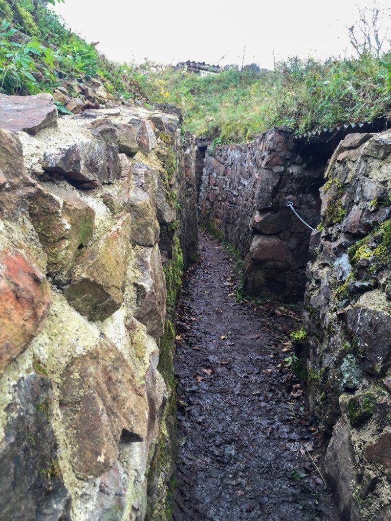 20141025-20141025-IMG_1113