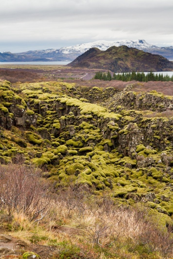 Another stop to look at something cool