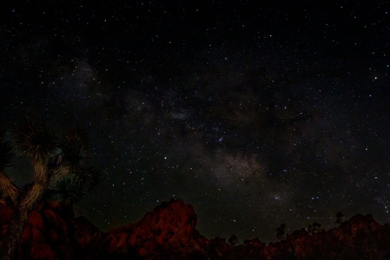 Stars over Joshua Tree