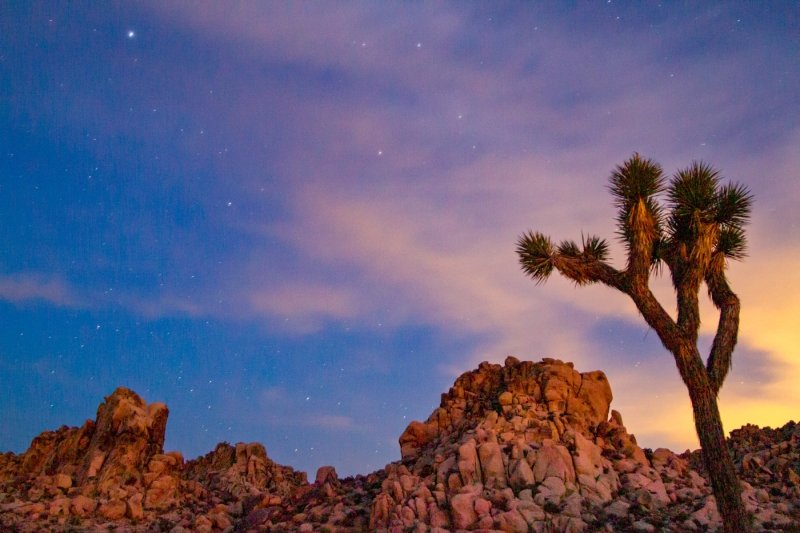Sunset over Joshua Tree