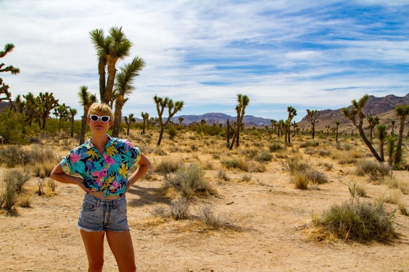 Serving Joshua Tree tourist fashun