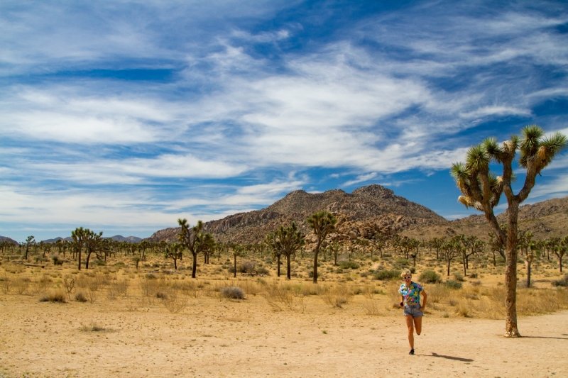 Serving Joshua Tree tourist fashun