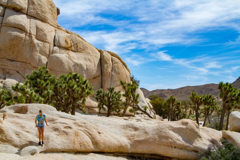 Serving Joshua Tree tourist fashun