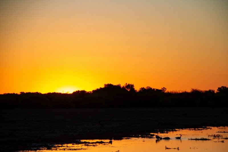 Yellow Water