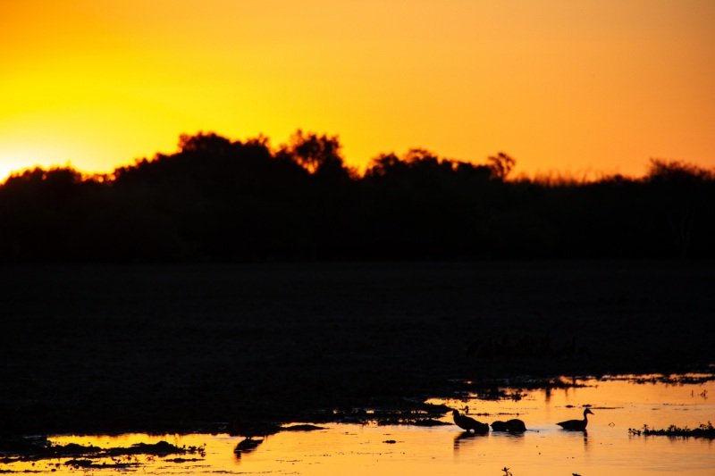 Yellow Water