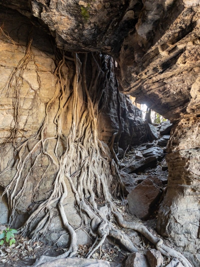 Bardedjilidji walk - creepy cave