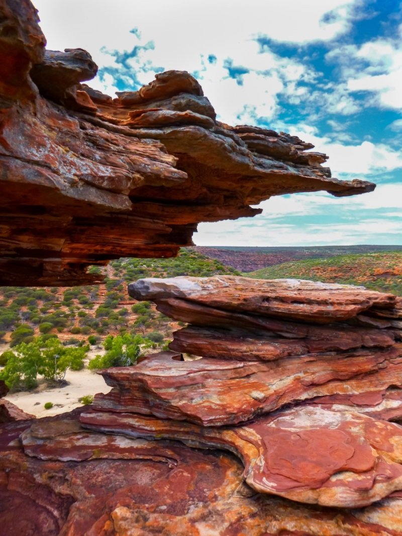 Nature's Window detail