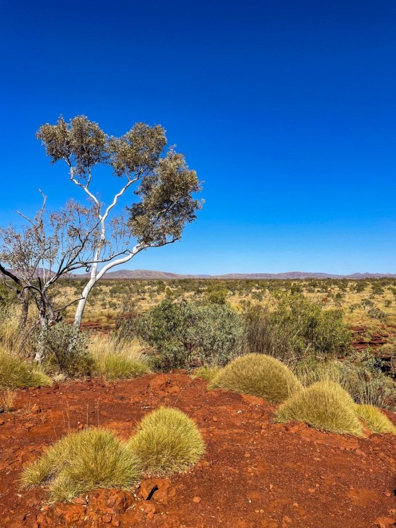 Joffre Gorge, Karijini