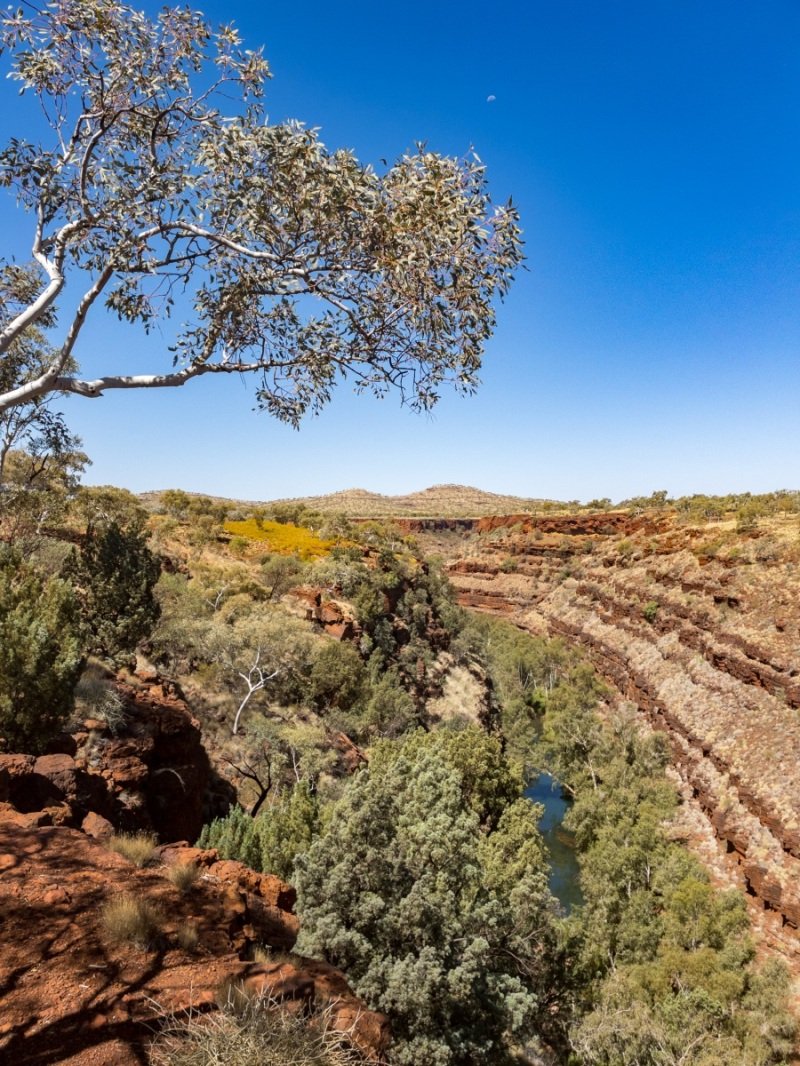 Dales Gorge, Karijini