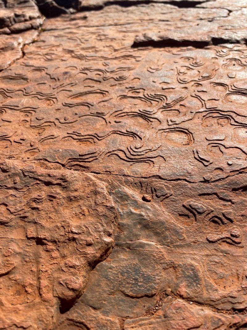 Joffre Gorge, Karijini