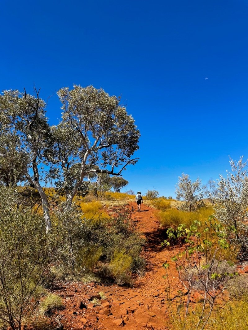 Dales Gorge, Karijini
