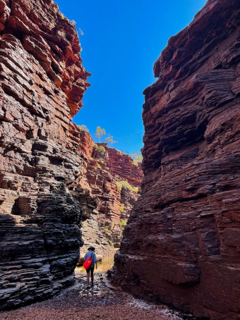 Joffre Gorge, Karijini