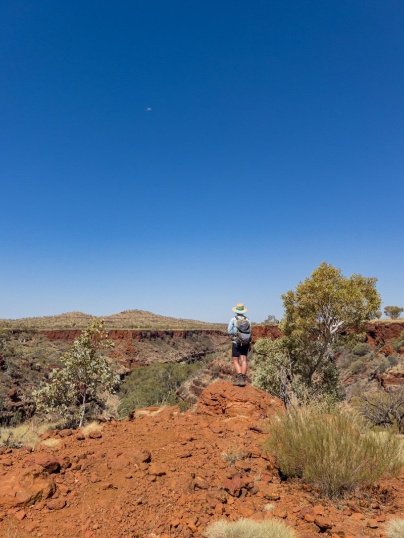 Dales Gorge, Karijini