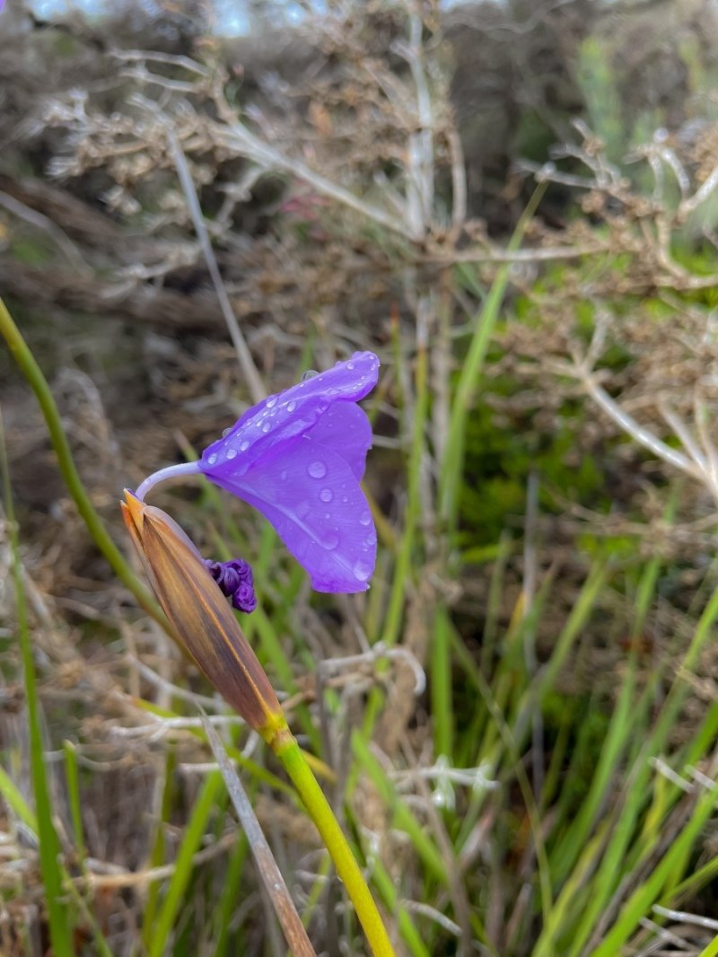 Lesuer National Park