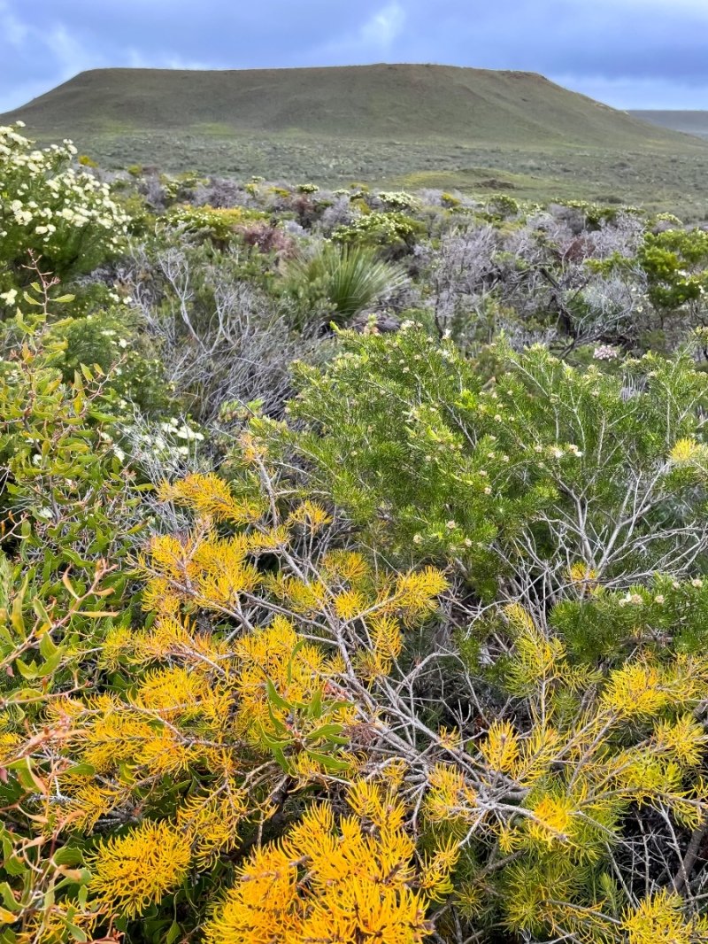 Lesuer National Park