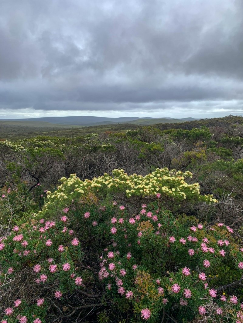 Lesuer National Park