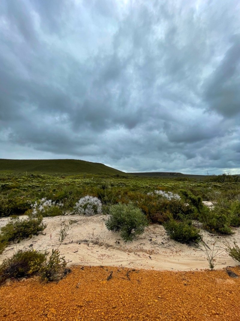 Lesuer National Park