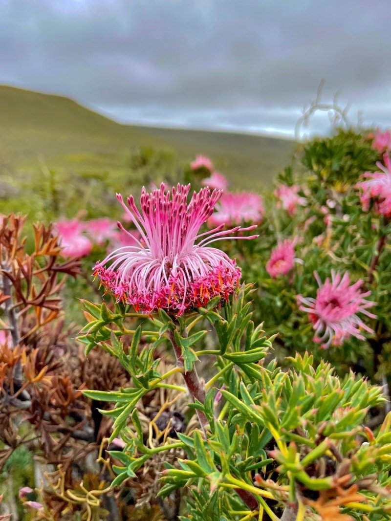 Lesuer National Park