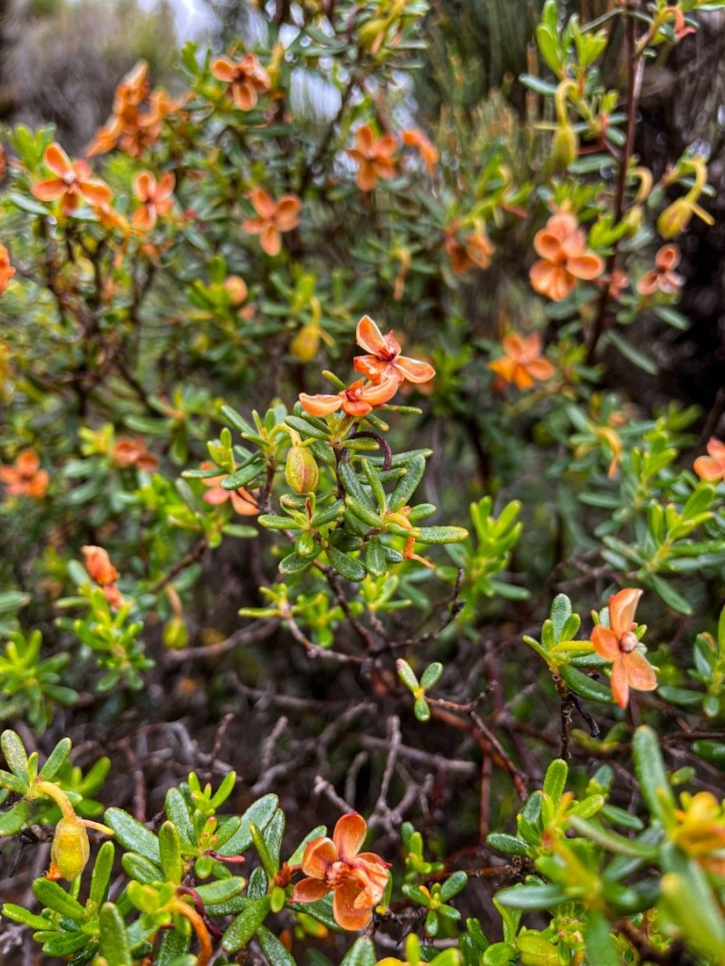 Lesuer National Park